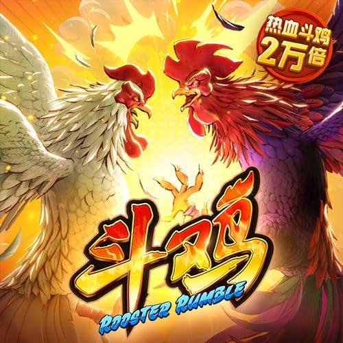 五五世纪平台官网